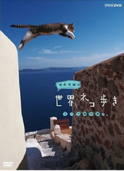 岩合光昭の猫步走世界~巴厘岛~海报