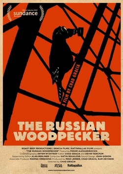 俄罗斯啄木鸟海报