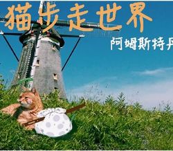 岩合光昭之猫步走世界~阿姆斯特丹篇海报
