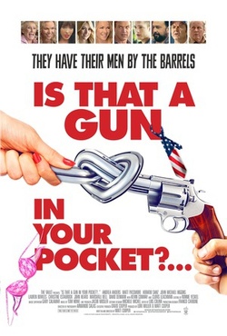 你口袋里有把枪吗？ 海报
