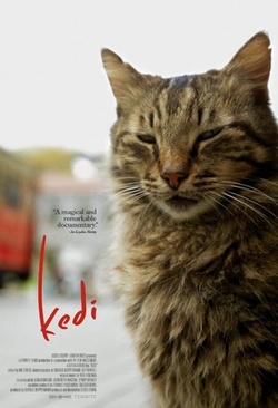 伊斯坦布尔的猫 海报