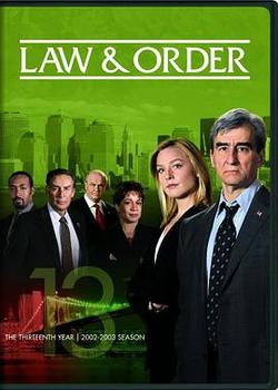 法律与秩序第十三季海报