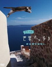 岩合光昭の猫步走世界~墨尔本篇海报