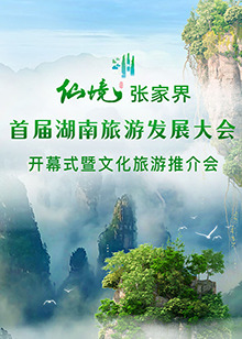 首届湖南旅游发展大会开幕式暨文化旅游推介会 海报