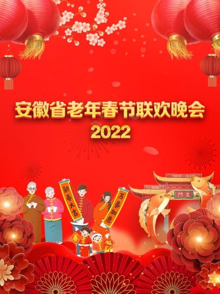 安徽省老年春节联欢晚会 2022海报