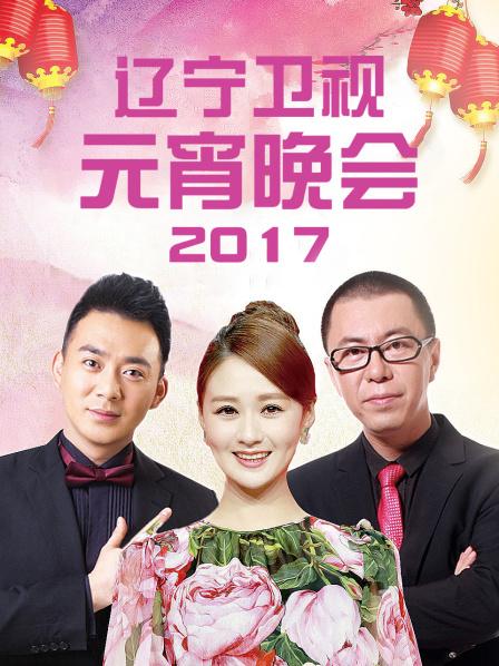 辽宁卫视元宵晚会 2017 海报