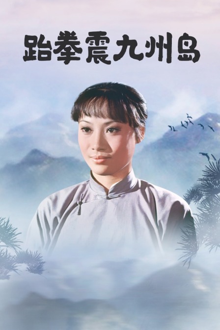 跆拳震九州岛海报