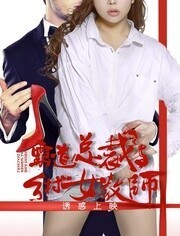 霸道总裁与乡村女教师