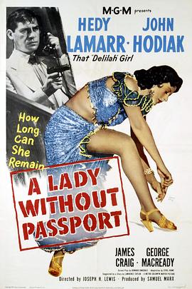没有护照的女人海报