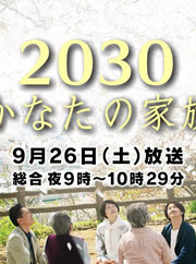 2030彼岸的家人 海报