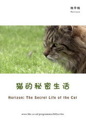 地平线系列：猫的秘密生活 海报