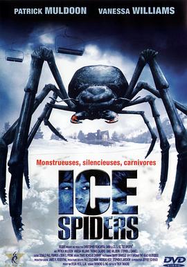 冰冻蜘蛛 海报