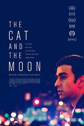 猫与月亮海报
