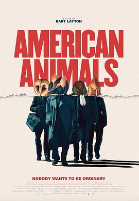 美国动物 海报