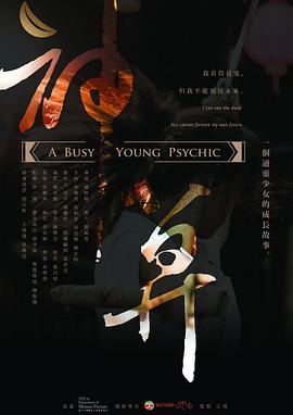 神算2013海报