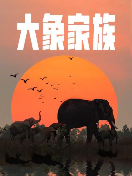 大象家族 海报