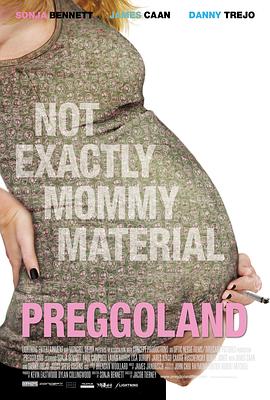 孕妇风波 海报