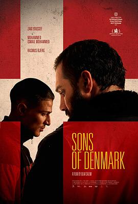 丹麦之子海报
