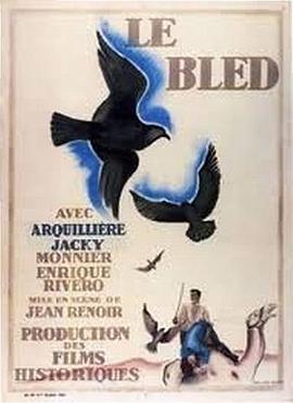 内地1929海报