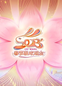 2023北京卫视春晚海报