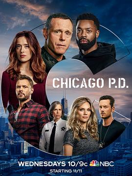 芝加哥警署第八季海报
