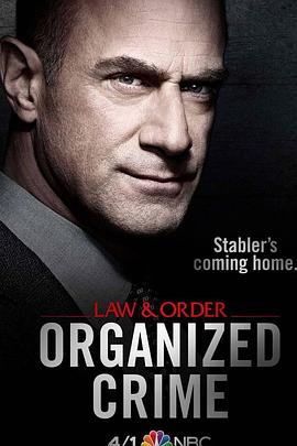 法律与秩序：组织犯罪第一季 海报